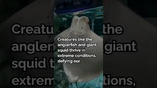 deep sea creatures  mysterious deep sea predator  deep creatures in the sea shorts tiktok viral [upl. by Pascoe]