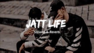 Jatt Life Slowed amp Reverb  Varinder Brar [upl. by Aldredge]