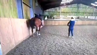 charlotte dujardin horse video charlotte dujardin whipping horse dujardin coaching [upl. by Longfellow]