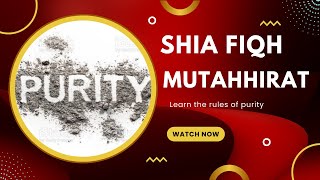 Shia Fiqh  Mutahhirat  Purity [upl. by Inoy]