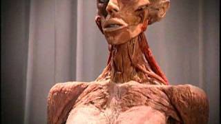 BODY WORLDS by Gunther von Haggens [upl. by Khorma]