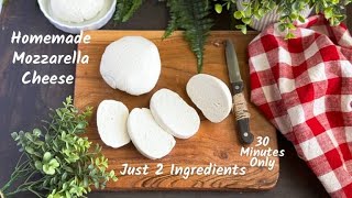 Homemade Mozzarella Cheese With Just 2 Ingredients  No Rennet Chemicals Or Preservatives [upl. by Petronille]