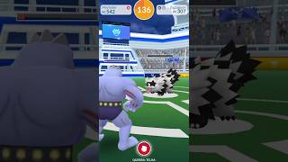 MiniRaid galarian Zigzagoon shorts pokemongo [upl. by Ellehs]