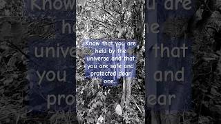 1 MINUTE SHAMANIC SOUND HEALING TO PROTECT YOUR ENERGY meditationshorts ancestralenergy peace [upl. by Pia890]