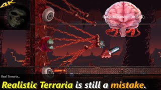 You can make YOUR Terraria more REAL™ ─ wish I didnt [upl. by Hourihan]