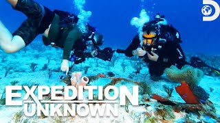 Josh Gates Finds an American Plane Wreck Underwater  Expedition Unknown  Discovery [upl. by Casia37]