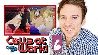 Real DOCTOR reacts to CELLS AT WORK  Episode 6  quotErythroblasts and Myelocytesquot [upl. by Oad158]