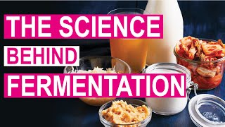 Health Benefits of Fermented Food  Why is Fermentation Healthy [upl. by Sanferd]