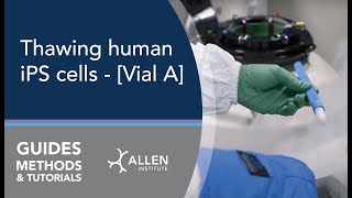 Allen Cell Methods Thawing human iPS cells  Vial A [upl. by Goines957]