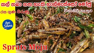 හාල්මැස්සෝ මෝජු  Sprats Recipe  Halmasso Recipes  Halmasso Moju  Halmasso Baduma  Sprats [upl. by Posner771]