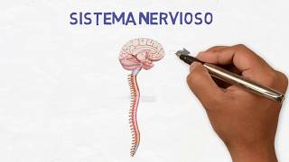 Neurología para pacientes  ¿Qué hacen los neurólogos [upl. by Atikim]