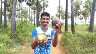 யாழ்ப்பாணத்து சுவைமிகு பனங்காய் பணியாரம் செய்வது எப்படி  Panangai Paniyaram Recipe [upl. by Beryle172]