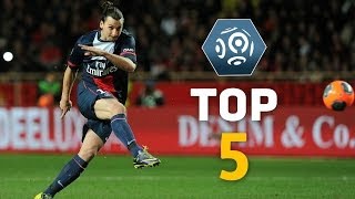 Zlatan Ibrahimovic  Top 5 Free Kicks  Ligue 1  PSG [upl. by Tupler]