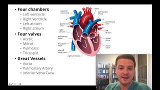 Had an echocardiogram Heres how to understand your results [upl. by Htinnek]