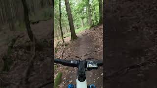 Bad Orb part 2 quotFlowtrailquot First Trail on my new Orbea Rise M10 orbea foxmtb trail funny [upl. by Linn]