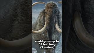 3 Facts About The Woolly Mammoth [upl. by Ethelinda888]