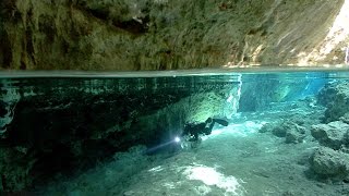 The Blind Cavefish  JONATHAN BIRDS BLUE WORLD [upl. by Oicnedif146]