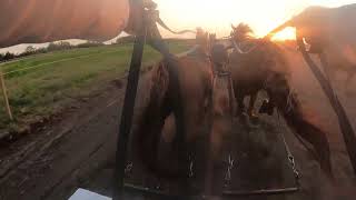 2024 Elkhorn Day 1 Michael Chuckwagon GoPro [upl. by Tymothy]