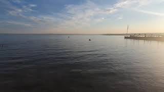 Lake Neusiedl in Burgenland Austria [upl. by Zednanreh307]