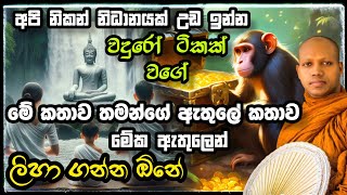 අපි නිකන් නිධානයක් උඩ ඉන්න වදුරෝ ටිකක් වගේ පින්වත්නිහසලක සීලවිමල හිමි Hasalaka Seelawimala Thero [upl. by Haeluj]