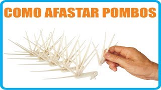 COMO AFASTAR POMBOS [upl. by Macfadyn]