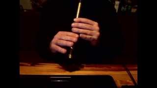 The Woods of Old Limerick  Tin Whistle Tune  Tradschool [upl. by Celene]