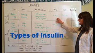 Types of Insulin [upl. by Oravla861]