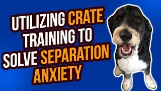 How to Stop Separation Anxiety in Dogs  Crate Training Tips [upl. by Marjy]