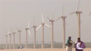 Wind turbines in Gujarat  India [upl. by Murvyn]