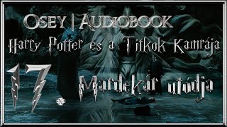 Harry Potter és a Titkok Kamrája hangoskönyv  17 fejezet [upl. by Lower970]