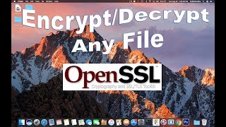 How to Encrypt Any File on your Mac using Terminal No Download [upl. by Cornelie]