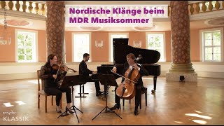 MDRMusiksommer Ragnhild Hemsing Benedict Kloeckner und Mario Häring musizieren in Sondershausen [upl. by Rahcir]