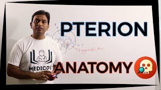 ANAHNB016 Pterion  Anatomy  Dr Prashant Sharma [upl. by Aynatan23]