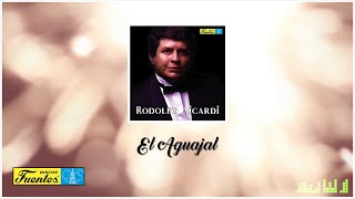 El Aguajal  Rodolfo Aicardi Y Su Típica Ra7  Discos Fuentes Audio Oficial [upl. by Einavoj]