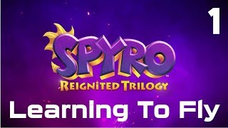 Spyro Reignited Trilogy  Gnasty Gnorc Perfect  Skill Point [upl. by Notac400]