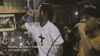 PSYCHEDELIC BOYZ  PINEAL GLAND x RAWSTARR TIL I DIE Live Performance  Manila [upl. by Aihsel]