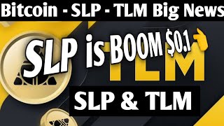 Bitcoin Today Big News  SLP price prediction  TLM price prediction  Crypto PUMP [upl. by Euqinoj627]