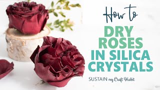 How to Dry Roses in Silica Crystals Turned out Great Even my First Time [upl. by Akirehc]