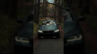 BMW M550i in the Ural forest [upl. by Evilo]