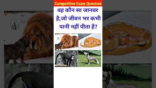 कौन सा जानवर है जो जीवन भर पानी नहीं पिता है gk। gk questions। general knowledge। gk animlals [upl. by Rame]