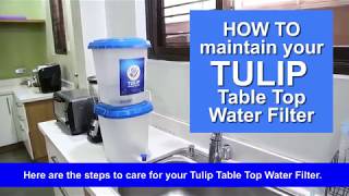 How to maintain your Tulip Table Top Water Filter [upl. by Eylrahc307]