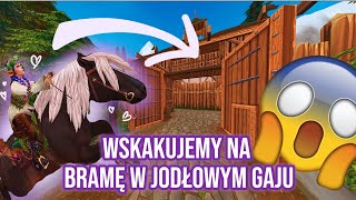 🌸Starstable ale wchodzimy w nietypowe miejsca🌸 Wchodzimy na bramę jg Lisie wędrówki [upl. by Euqirne]