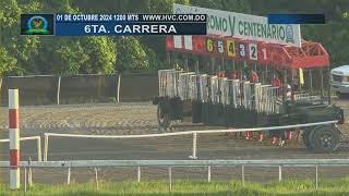 6TA CARRERA 1 10 2024 PARMENIDES USA [upl. by Nangem271]