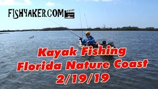 Kayak Fishing the Florida Nature Coast February 19 2019 [upl. by Leahcam420]