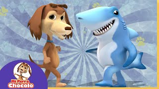 BAILA JUNTO AL PERRO CHOCOLO 🐾 Y EL TIBURÓN 🦈  CANCIONES INFANTILES [upl. by Manolo]