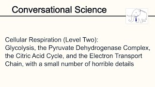 Cellular respiration Level Two [upl. by Tnaryb]