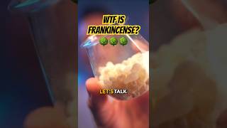 Frankincense Fragrance Ingredient Review [upl. by Jeb700]