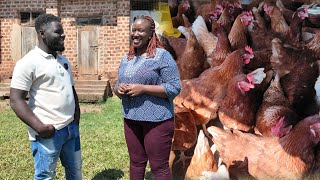 She Quit Her Corporate Job To Become a Poultry Farmer amp She Doesnt Buy Chicken Medicine [upl. by Haleemaj]