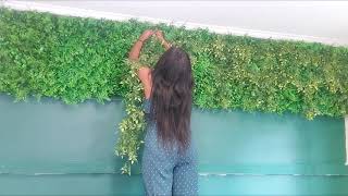 How to DIY a massive Plant wall [upl. by Kori]