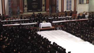 Simchas Torah in Satmar 09 [upl. by Atiuqrahs858]